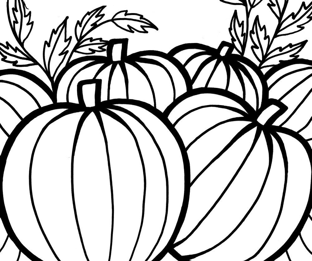 Pumpkin Coloring Sheet Printable
 Pumpkins Coloring Pages To Celebrate Thanksgiving