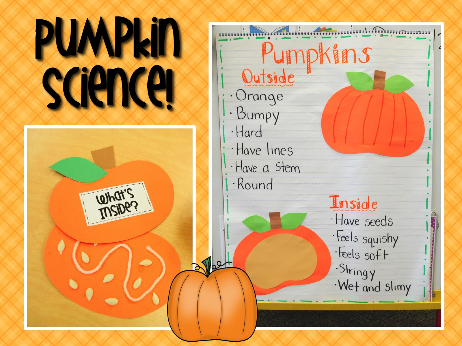 Pumpkin Craft Ideas Preschool
 Mrs Ricca s Kindergarten Pumpkins Unit FREEBIE