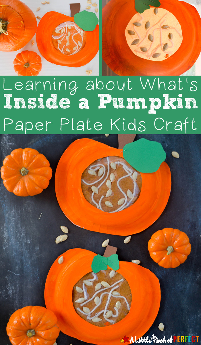 Pumpkin Craft Ideas Preschool
 Learning about what s Inside a Pumpkin Paper Plate Kids