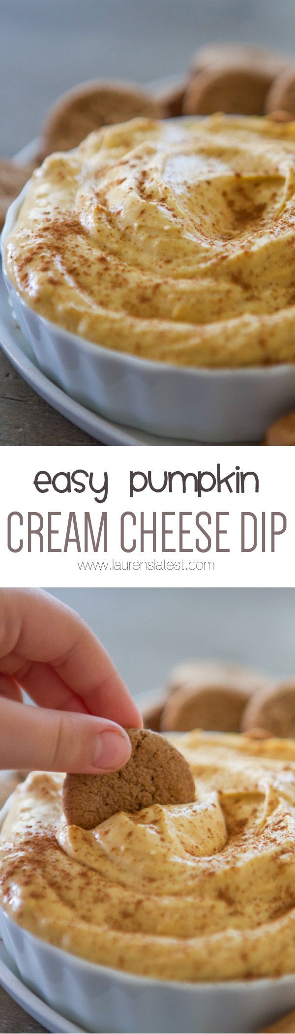 Pumpkin Cream Cheese Dip Recipes
 Pumpkin Cream Cheese Dip Recipe