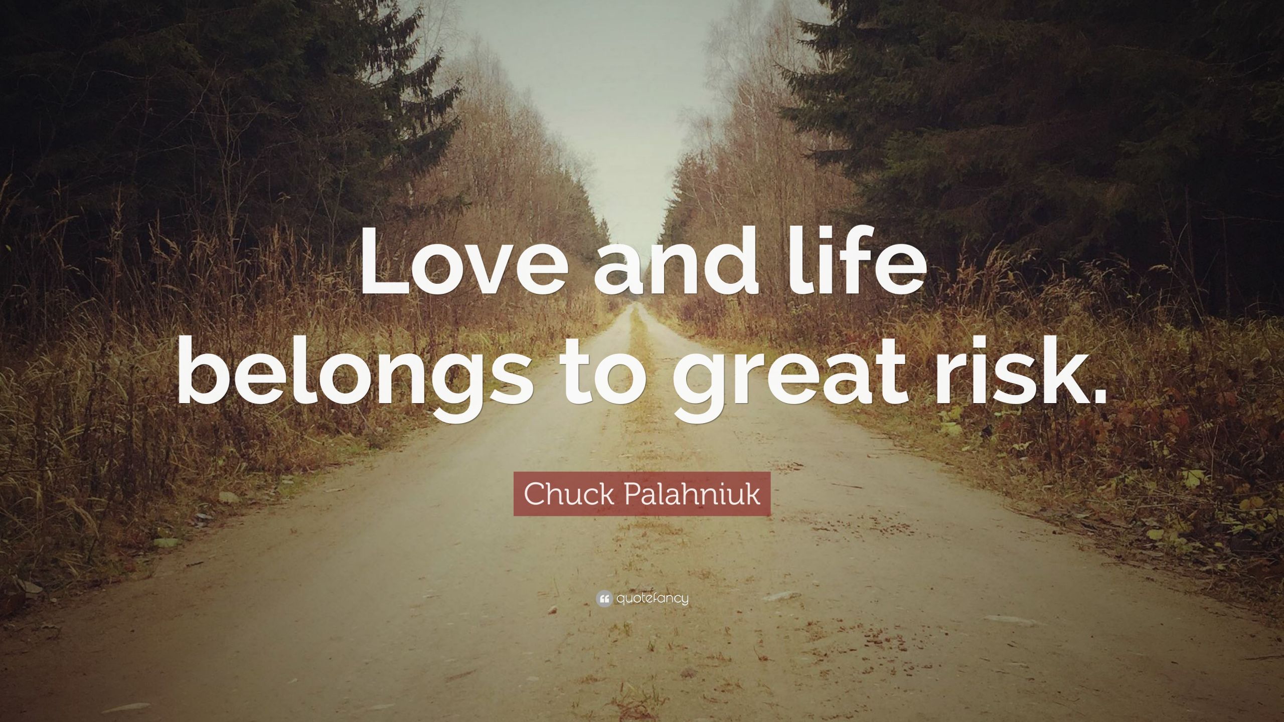 Quote Love And Life
 Risk Quotes 40 wallpapers Quotefancy