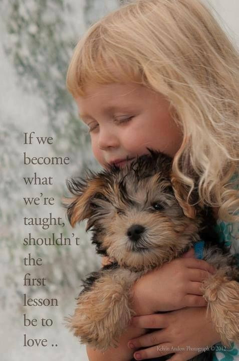 Quotes About Dogs And Kids
 72 best images about Parents of Estranged Adult Children