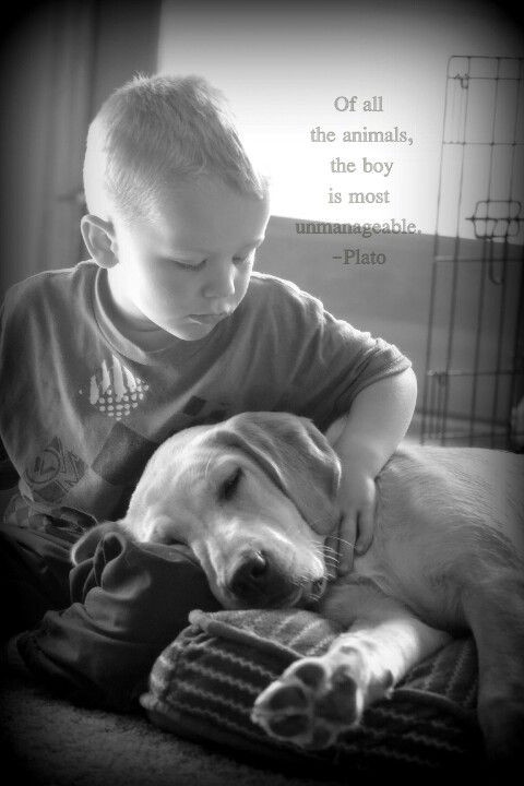 Quotes About Dogs And Kids
 Quote with little boy and puppy