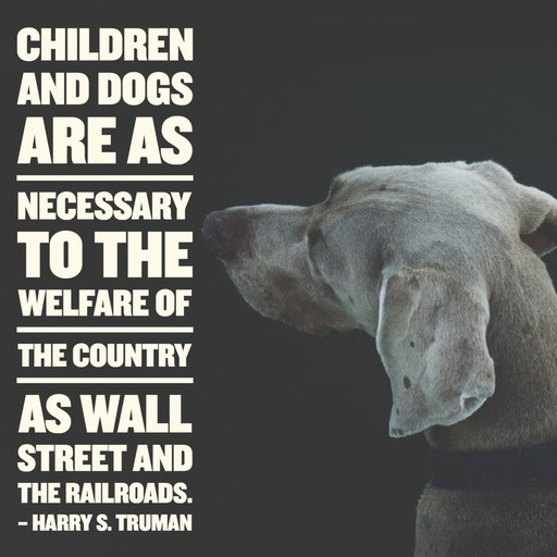 Quotes About Dogs And Kids
 Dog Quotes 25 Sayings ly Dog Lovers Will Understand