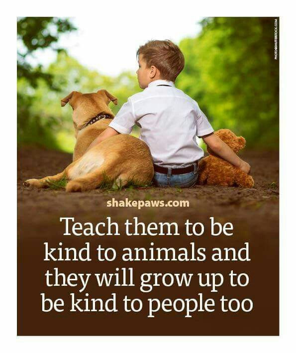 Quotes About Dogs And Kids
 Yes Teach them young it s so sad when I see people