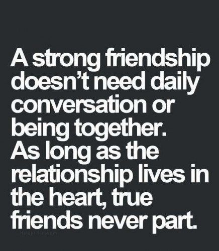 Quotes About Friendships
 100 Friendship Quotes Celebrating Your Best Friends 2019