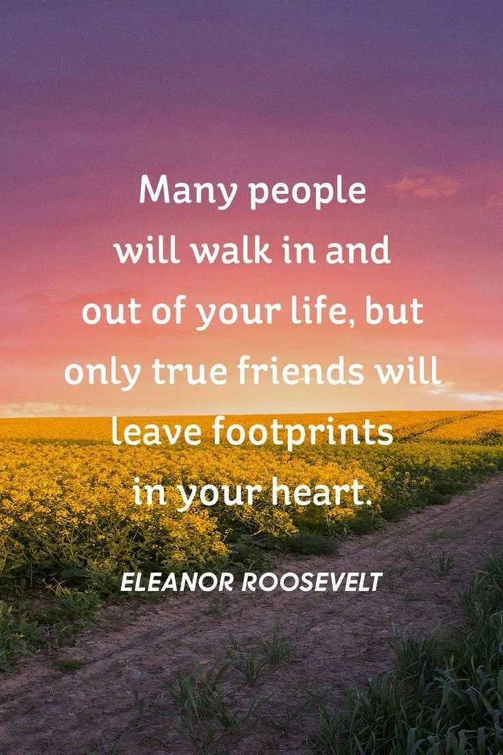 Quotes About Friendships
 Top 57 Best Friendship Quotes to Enriched Your Life tiny