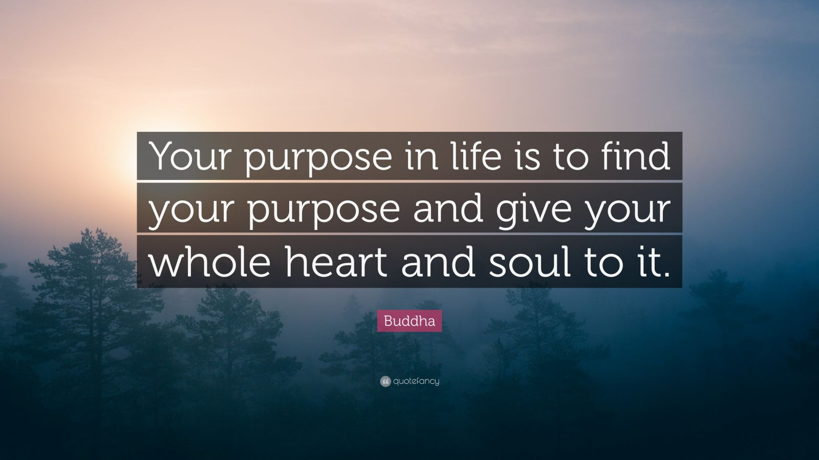 Quotes About Life Purpose
 Buddha Quote “Your purpose in life is to find your