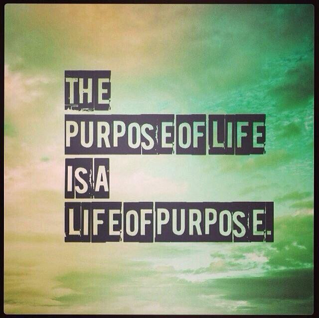 Quotes About Life Purpose
 The purpose of life is a life of purpose
