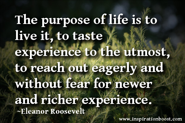 Quotes About Life Purpose
 Life Purpose Quotes