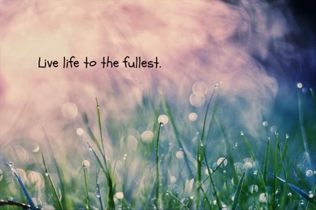 Quotes About Living Life To Its Fullest
 Live Life Quotes Living Life To The Full Quotes s