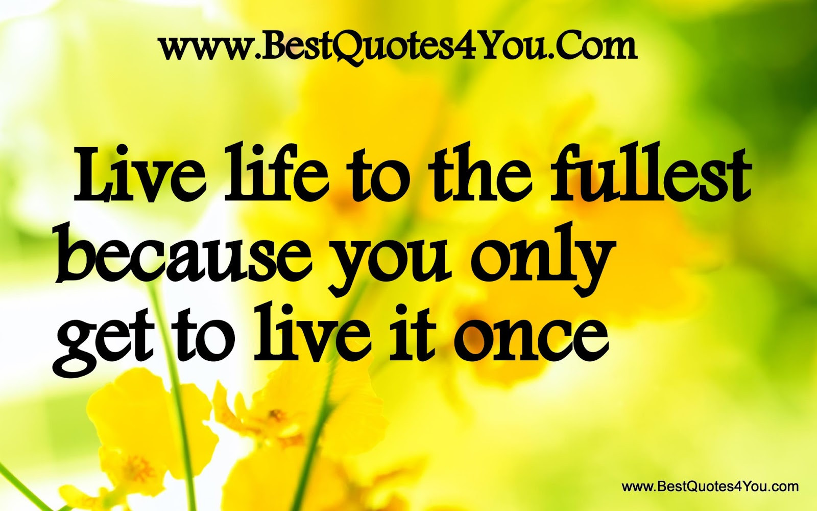 Quotes About Living Life To Its Fullest
 Quotes About Living Your Life To The Fullest QuotesGram