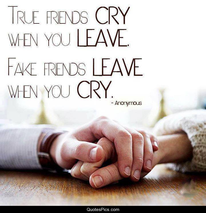 Quotes For True Friendship
 What does it mean to be a friend Ground Report