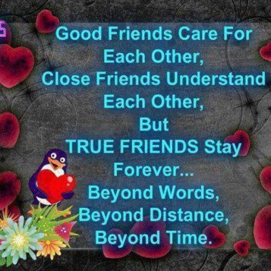 Quotes For True Friendship
 20 True Friends Quotes
