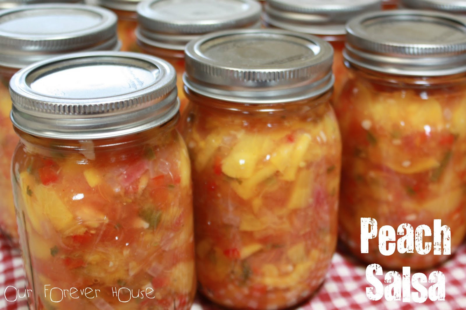 Recipe For Peach Salsa
 Our Forever House A Peach of a Day
