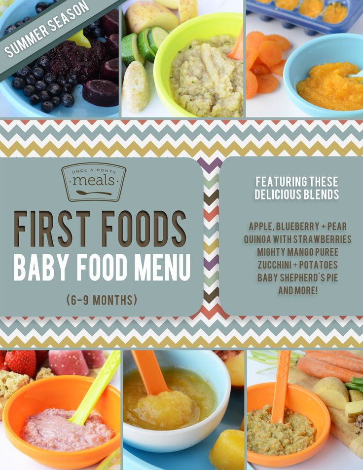 Recipes For 9 Month Old Baby
 First Foods 6 9 Month Summer Baby Food Menu