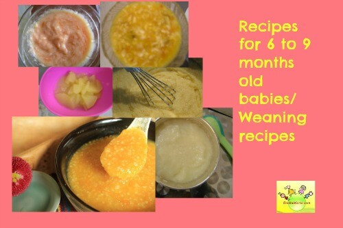 Recipes For 9 Month Old Baby
 Baby Food Recipes 6 to 9 months old Wholesome Baby Food