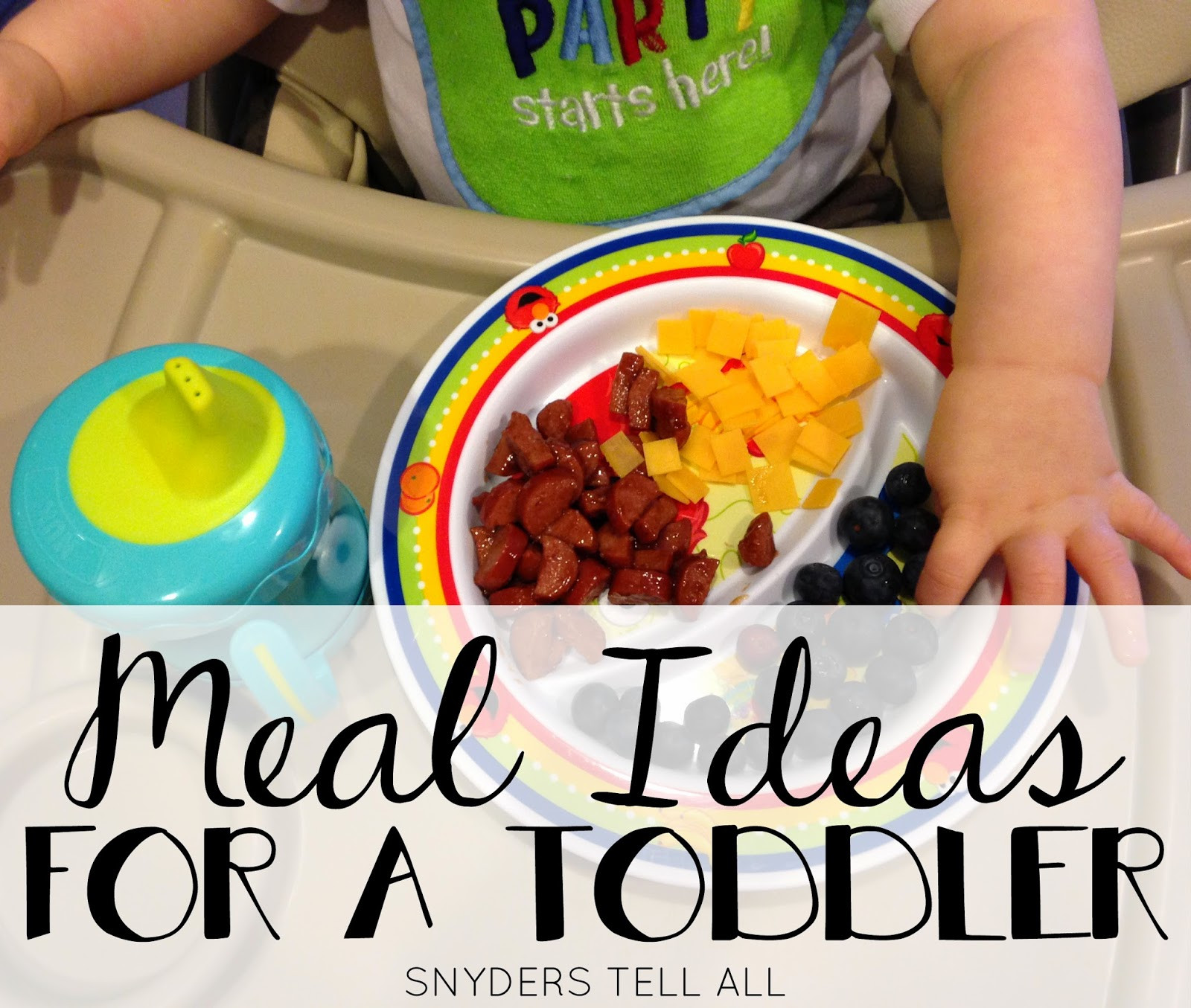 Recipes For One Year Old Baby
 Feeding a Toddler TONS of Meal Ideas and Recipes