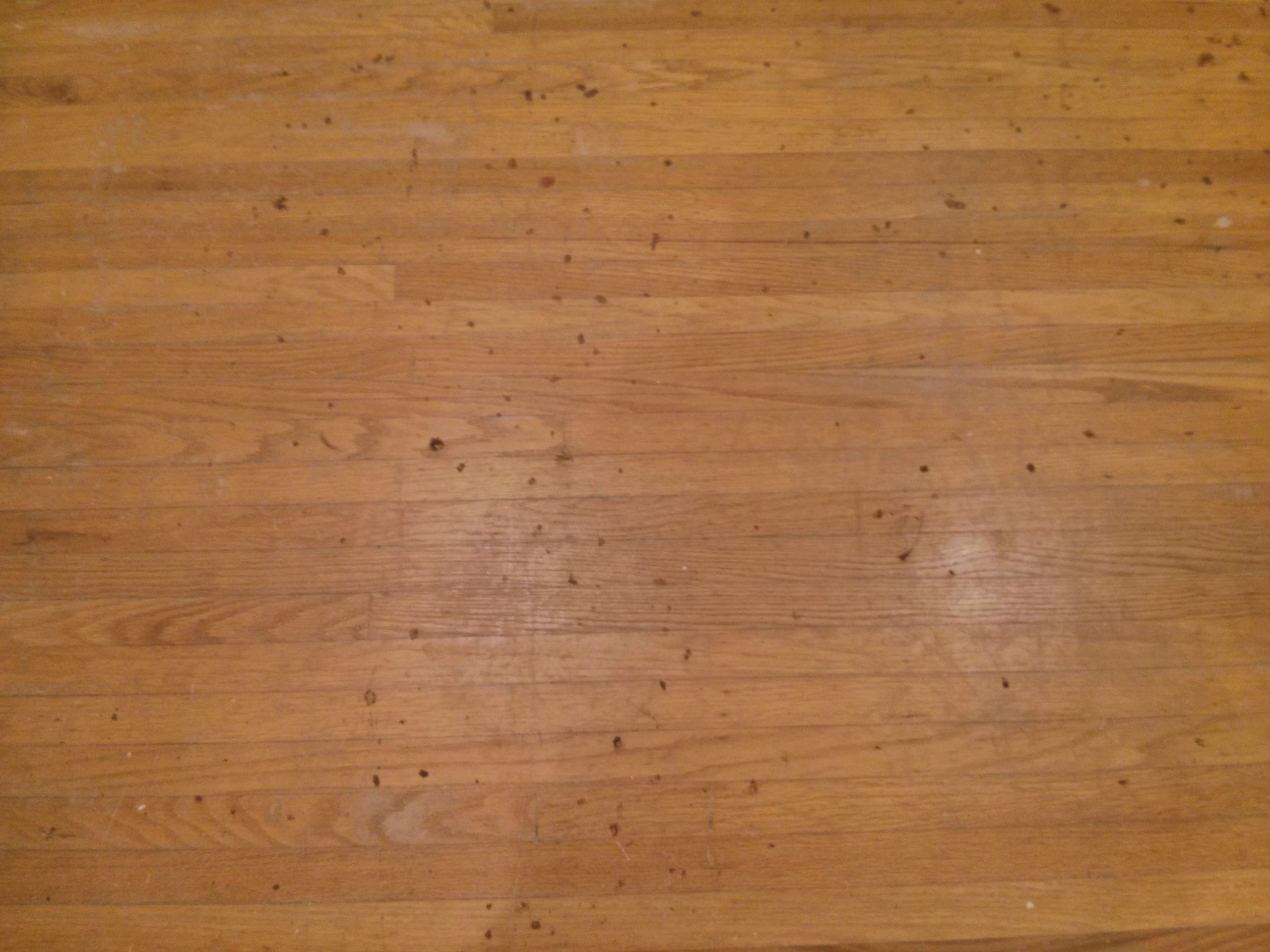 Refinishing Hardwood Floors Without Sanding DIY
 22 Amazing Do It Yourself Hardwood Floor Refinishing