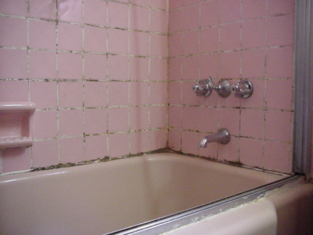 Regrout Bathroom Tile
 GROUTING WESTCHESTER SHOWER LEAKING WESTCHESTER GROUTING