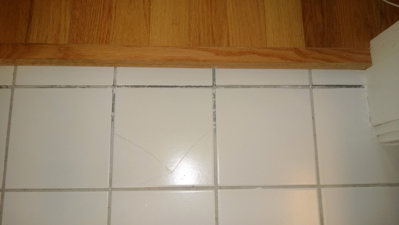 Regrout Bathroom Tile
 Regrouting Bathroom Tile – ORBITTED BY NINE DARK MOONS