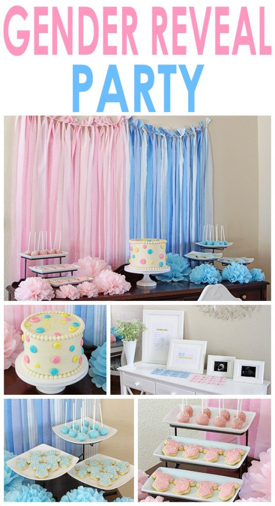 Reveal Gender Party Ideas
 Gender Reveal Party Two Twenty e