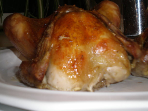 Roasted Cornish Game Hens Recipes
 Herb Roasted Cornish Game Hens Recipe Food