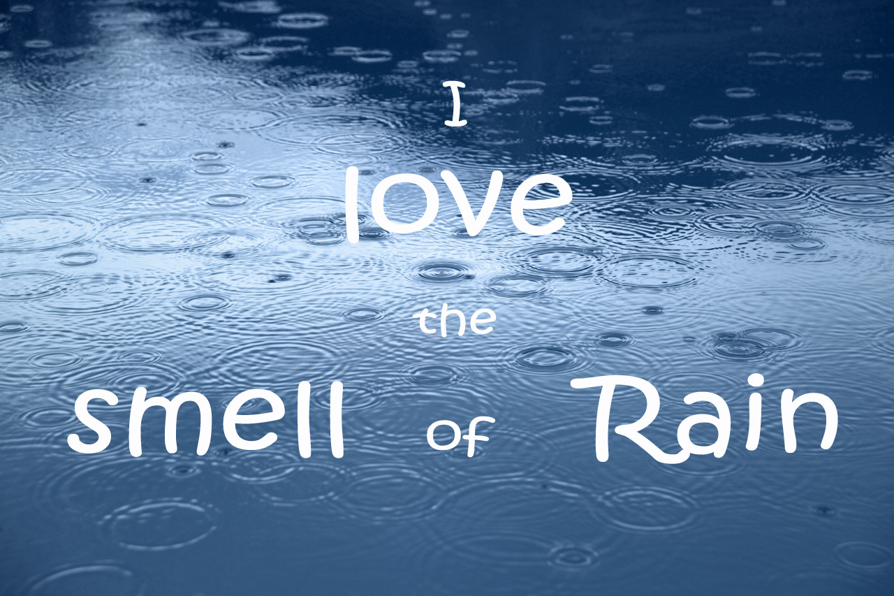 Romantic Rain Quotes
 ROMANTIC RAIN QUOTES TUMBLR image quotes at hippoquotes