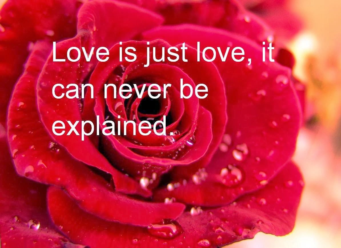 Romantic Valentine Quote
 Happy Valentine s Day 2014