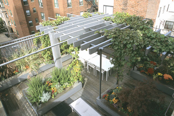 Rooftop Terrace Landscape
 Rooftop Garden Design Tips for Creating Your Own