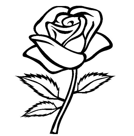 Rose Coloring Pages For Kids
 Coloring Blog for Kids Rose flower coloring page pictures