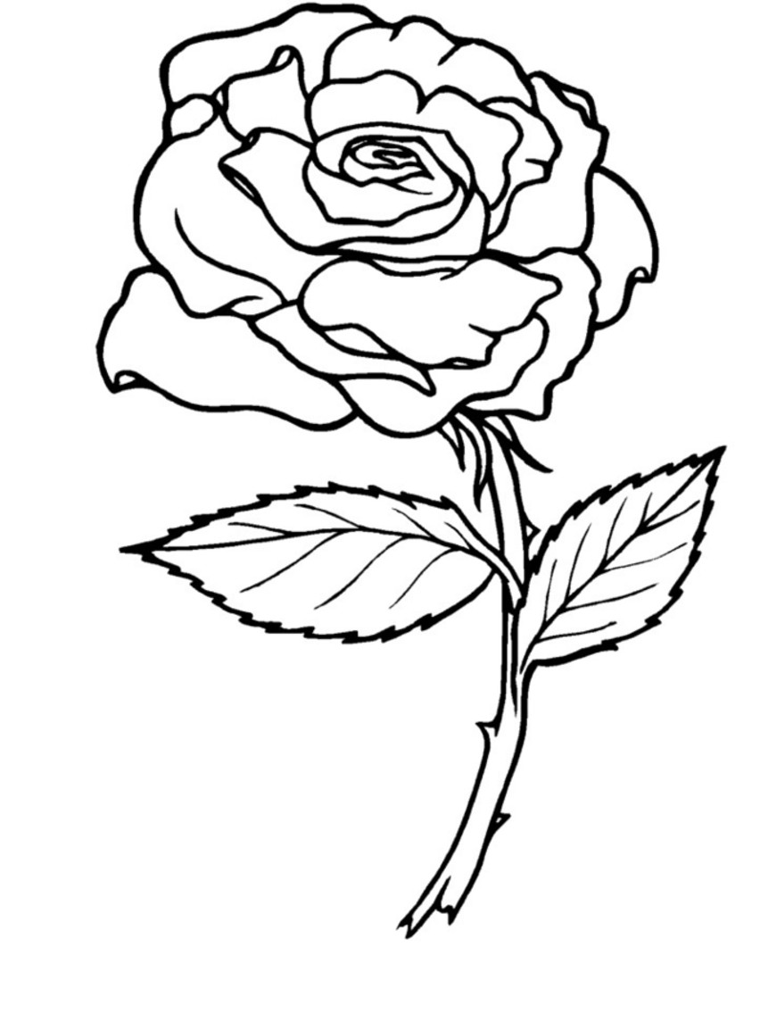 Rose Coloring Pages For Kids
 heart rose banner Colouring Pages page 2