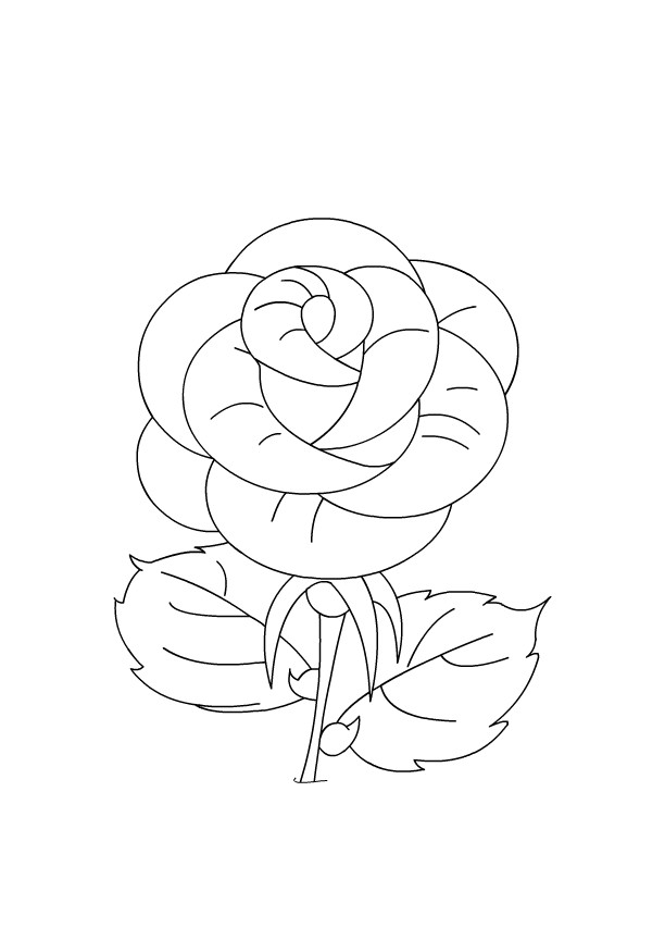 Rose Coloring Pages For Kids
 Color Rose