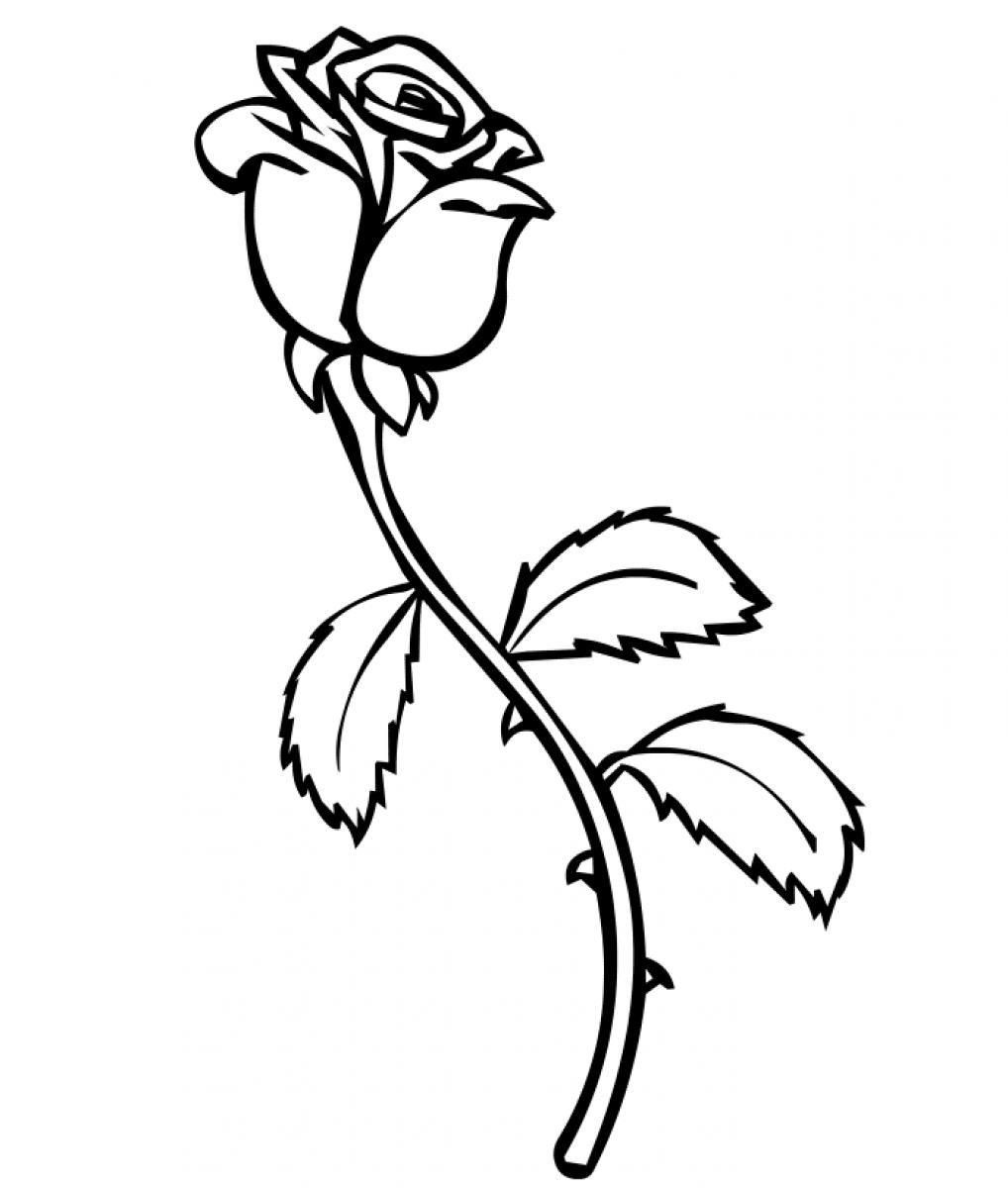 Rose Coloring Pages For Kids
 Printable Roses to Color Bing