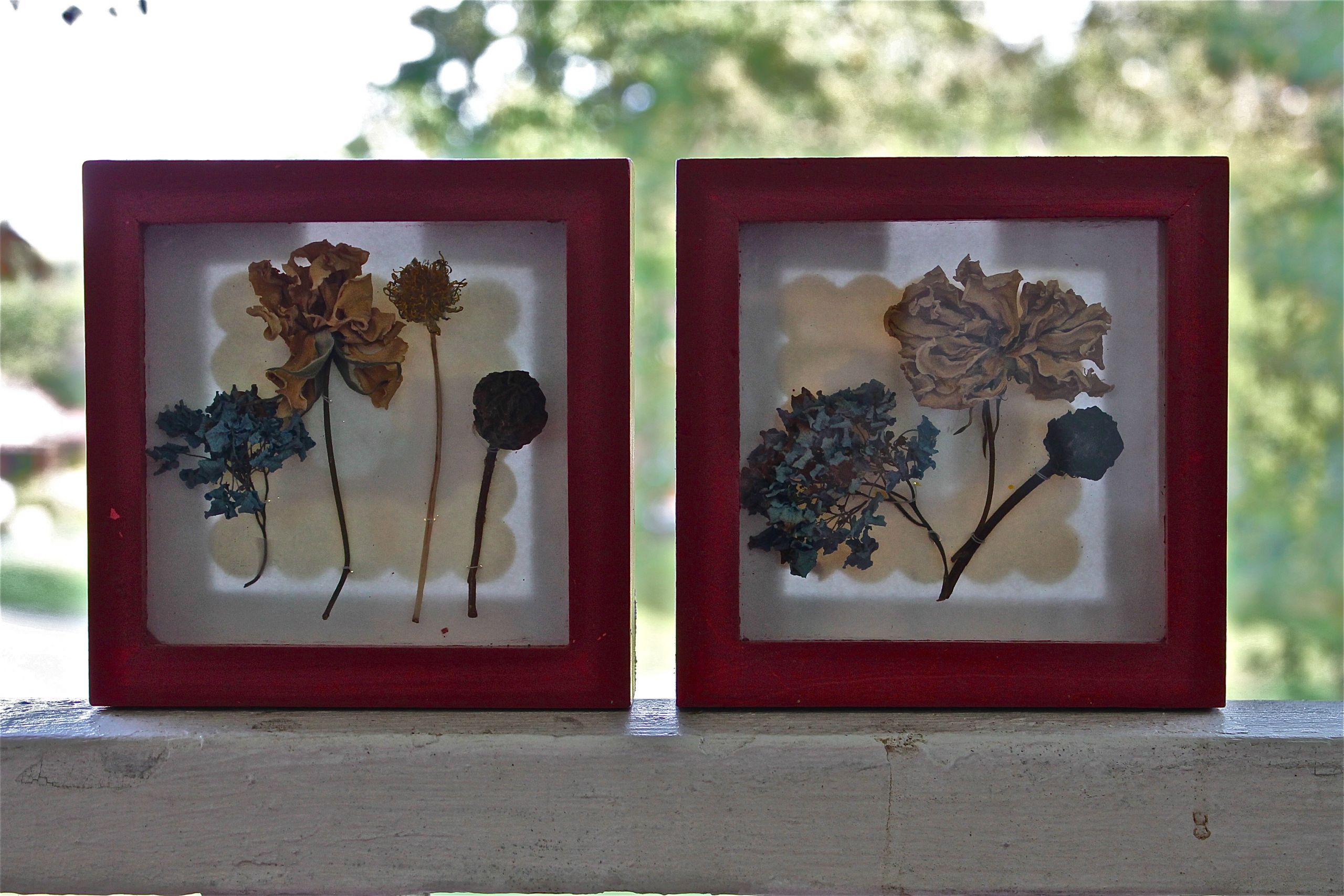 Shadow Boxes DIY
 dried flower shadow box DIY – My Great Escape