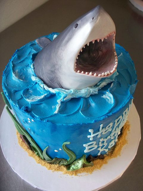 Shark Birthday Cakes
 100 4153 in 2019