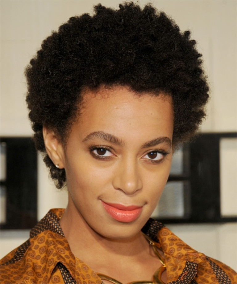 Short Natural Afro Hairstyles
 Top 10 African American Curly Hairstyles To Get You