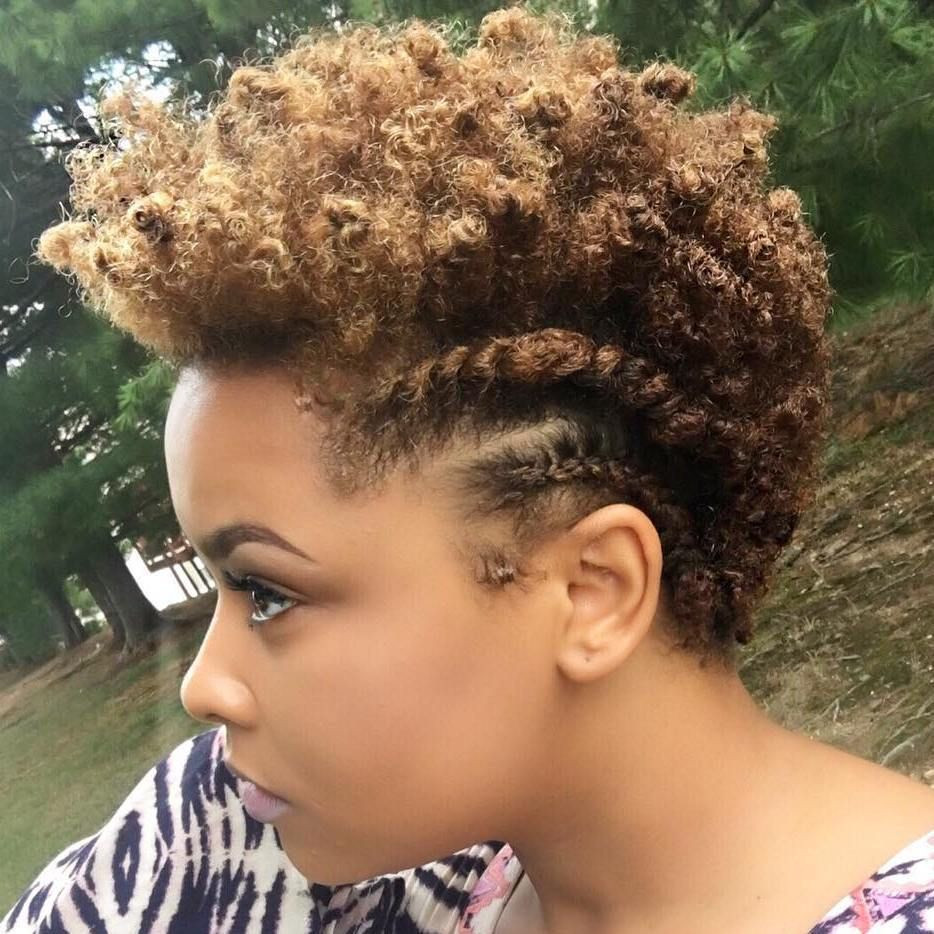Short Natural Hairstyles For Women
 Pin on Natural Hair Styles for Ev