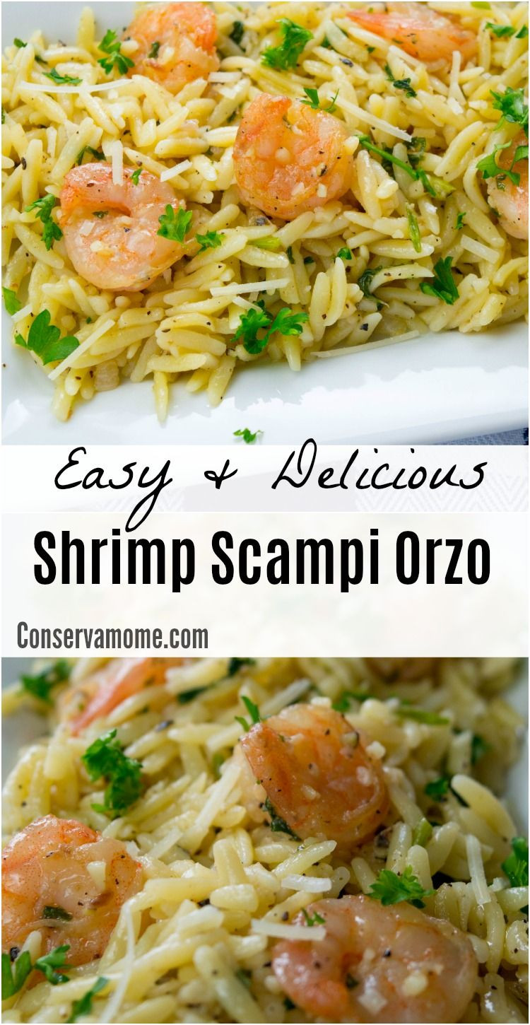 Side Dishes For Shrimp Scampi Easy & Delicious Shrimp Scampi Orzo
