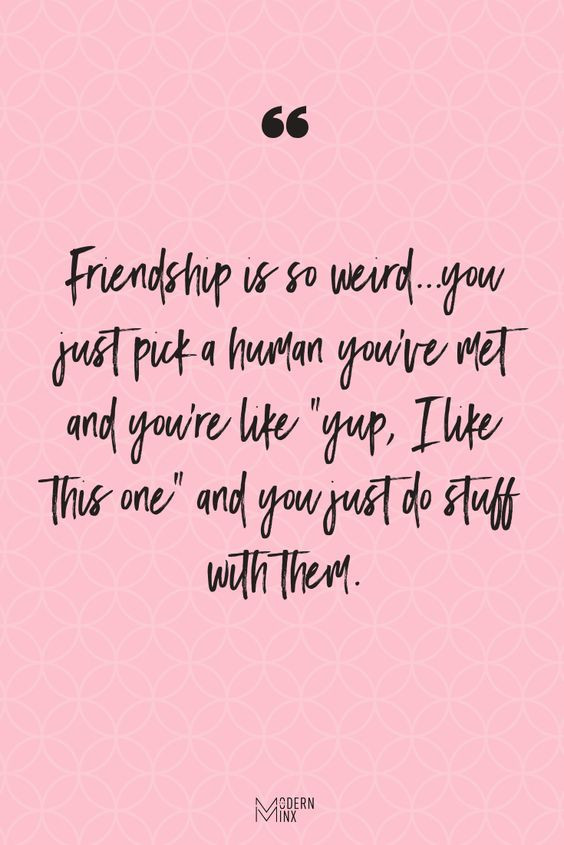 Silly Friendship Quotes
 Short Funny Friendship Quotes and Sayings