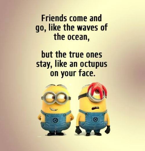 Silly Friendship Quotes
 Top 39 Funny Best Friend sayings