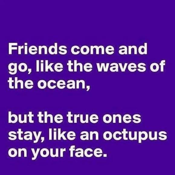 Silly Friendship Quotes
 The 27 Best Funny Friendship Quotes All Time