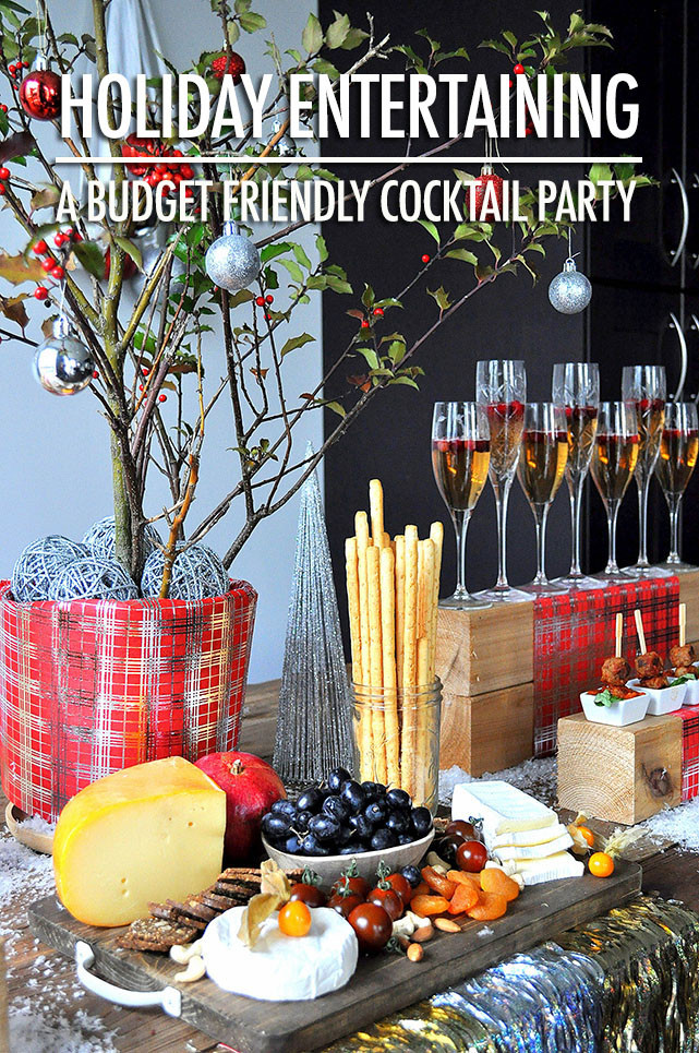Simple Party Food Ideas On A Budget
 How To Throw A Holiday Cocktail Party a Bud