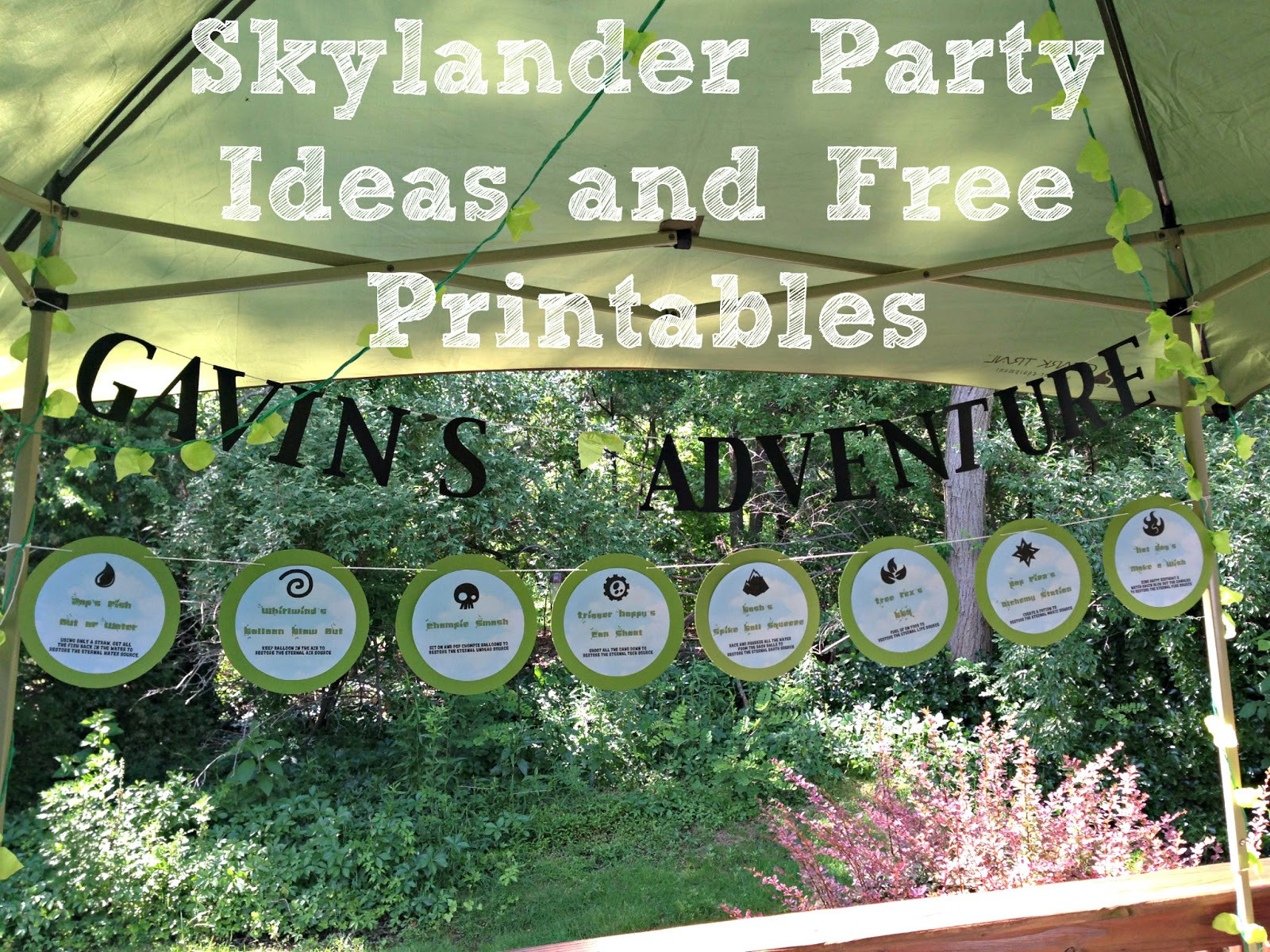 Skylanders Birthday Party Ideas
 Some of the Best Things in Life are Mistakes Skylander