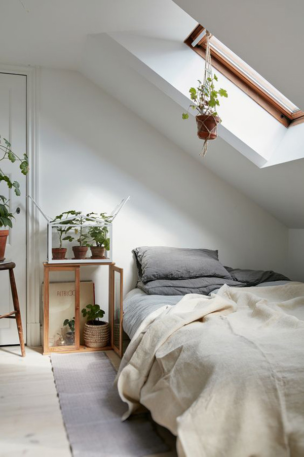 Small Plants For Bedroom
 10 Beautiful Loft Bedrooms With Natural Accents