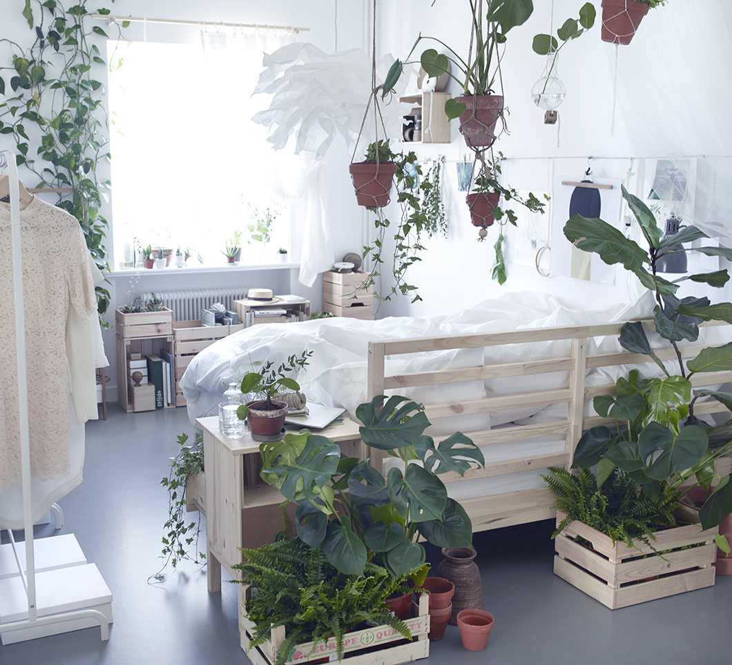 Small Plants For Bedroom
 Small dreamy botanical Ikea bedroom
