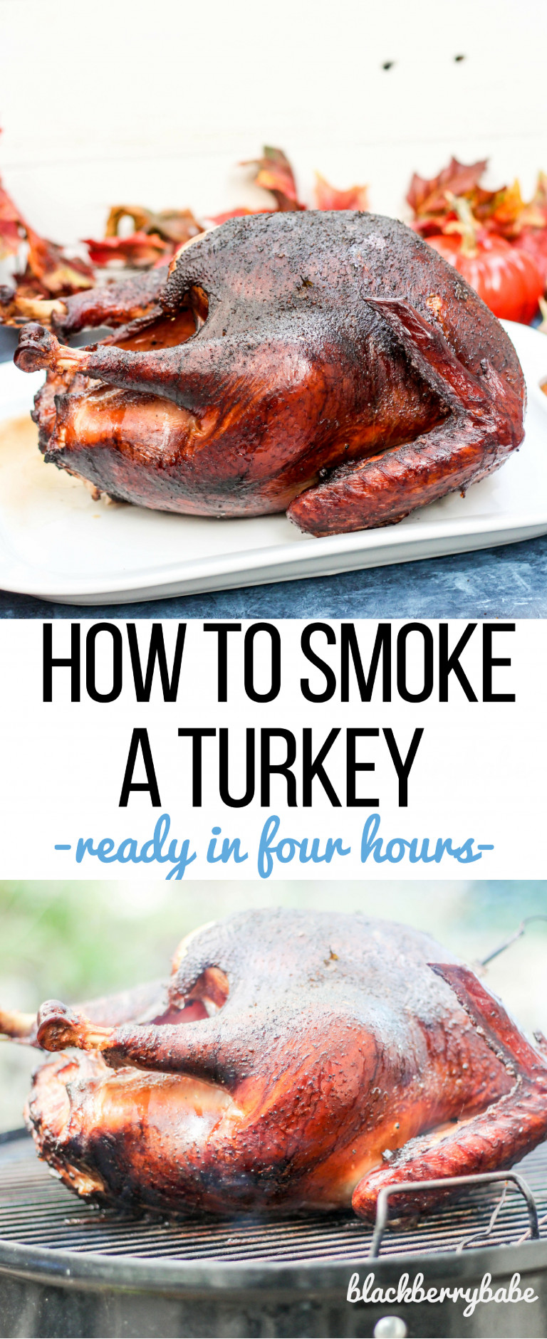 Smoking A Whole Turkey In Electric Smoker
 Pin on Recipes