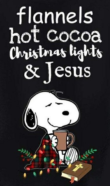 Snoopy Christmas Quotes
 Jesus humor with Snoopy and Christmas lights