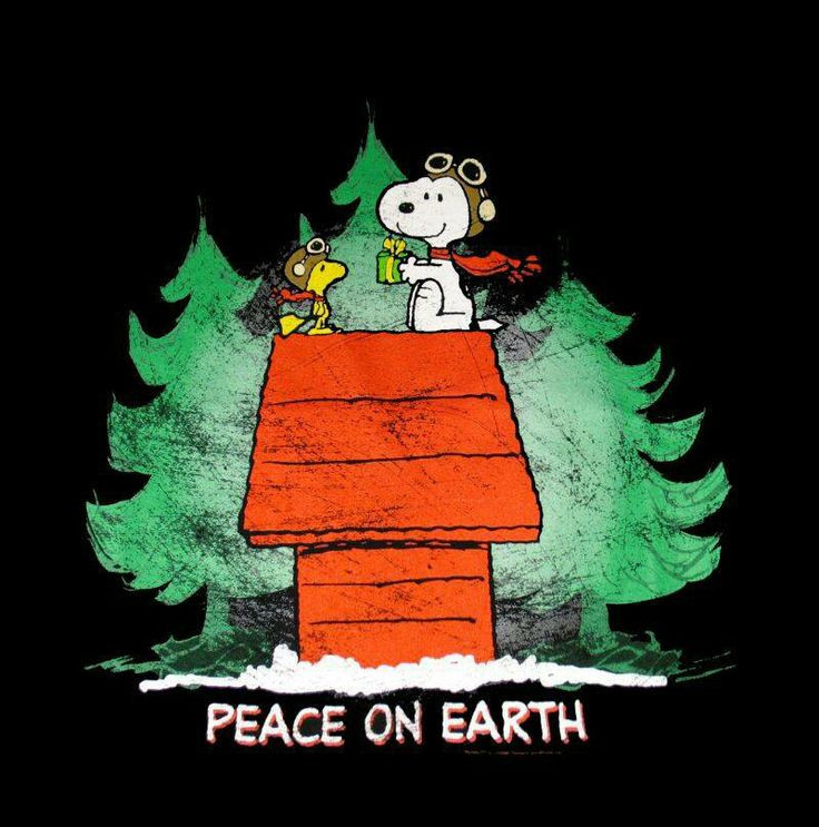 Snoopy Christmas Quotes
 53 best CHRISTMAS SNOOPY images on Pinterest