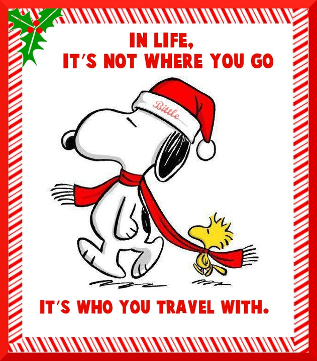 Snoopy Christmas Quotes
 10 images about Snoopy Peanuts on Pinterest